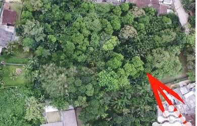 Imagem 4: Área à venda, 7230 m² por R$ 950.000,00 - Sertao da Quina - Ubatuba/SP