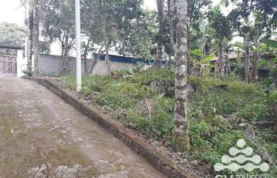 Imagem 6: Área à venda, 7230 m² por R$ 950.000,00 - Sertao da Quina - Ubatuba/SP