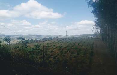 Imagem: O terreno possui 1.000m² de Área e está localizado em Barbosas