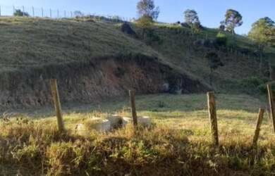 Imagem 1: Terreno à venda, 1600 m² por R$ 170.000,00 - Barroção - Piracaia/SP