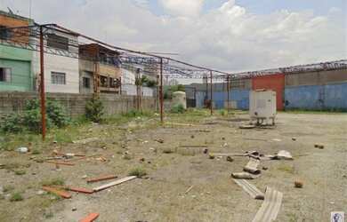 Imagem 9: SãO PAULO - Terreno Padrão - Parque Novo Mundo