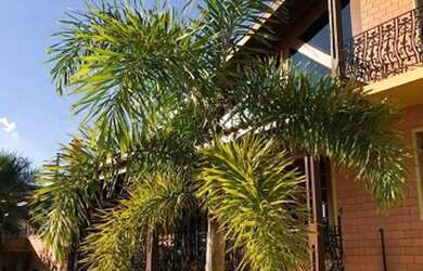 Imagem 3: Jundiaí - Casa Padrão - Jardim Tereza Cristina