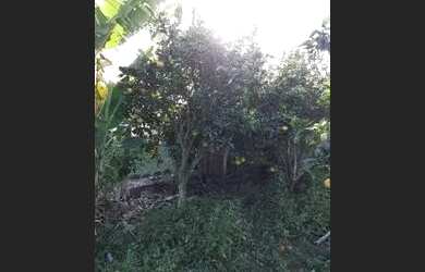 Imagem 2: Casa em paulo lopes. 1 Vaga na garageme3 Dormitórios