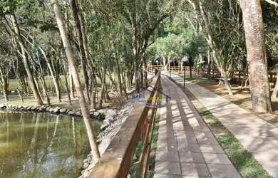 Imagem 15: GRANJA VIANA - SÃO PAULO II