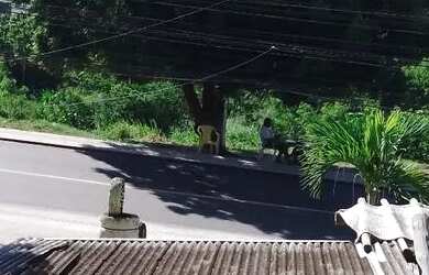 Imagem 5: ALUGAR CASA. Varanda, 24m² de Área, 1 Banheiroe1 Dormitório