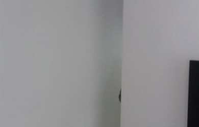 Imagem 13: Casas para locação em São Paulo no bairro Vila Industrial