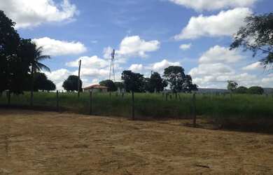 Imagem 6: Oportunidade Fazenda pecuária de 1.186 hectares com aptidão para Usina...