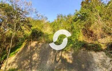 Imagem 6: Terreno à venda, 741 m² por R$ 185.000,00 - Mata Paca - Niterói/RJ