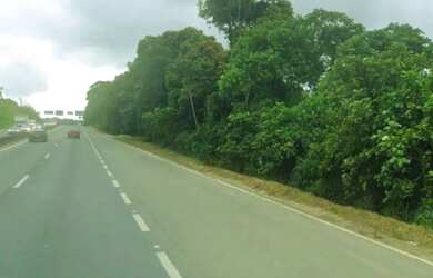 Imagem 2: Área à Venda - BR-101, Araquari/SC