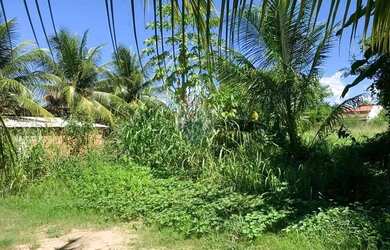 Imagem 12: Terreno incrível em Tatuamunha - Ótimo investimento