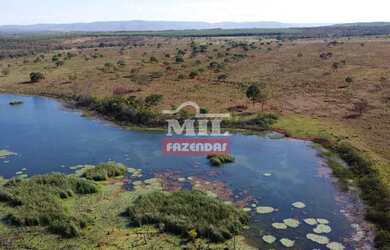 Imagem: A fazenda possui 500m² de Área e está localizado em Centro