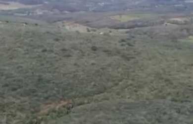 Imagem 13: Fazenda com 122 hectares de Caatinga