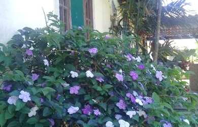 Imagem 6: Alugo linda casa de praia - veraneio 900,00