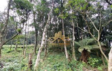 Imagem: O terreno possui 800m² de Área e está localizado em Gramado