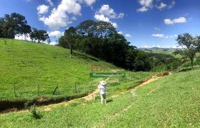 Imagem 1: Terreno à venda, 1200 m² por R$ 135.000,00 - Cunha - Cunha/SP