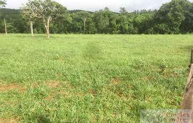 Imagem 2: Área para Venda em Senador Canedo, Chácara Santa Luzia