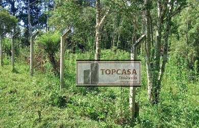 Imagem 6: Terreno à venda, 5000 m² por R$ 280.000,00 - Embura - São Paulo/SP