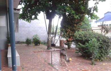 Imagem 6: Terreno à venda, 478 m² por R$ 1.595.000,00 - Casa Verde - São Paulo/SP