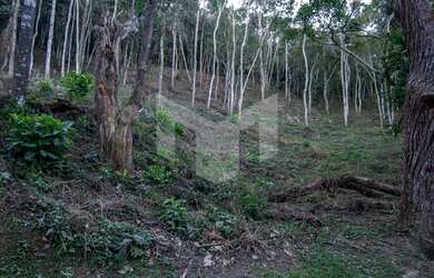 Imagem: O terreno possui 10161m² de Área e está localizado em Pedro