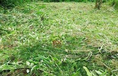 Imagem 5: Terreno à venda, 300 m² por R$ 100.000 - Ubatumirim - Ubatuba/SP