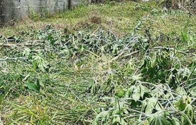 Imagem 3: Terreno à venda, 280 m² por R$ 219.900,00 - Jardim Monte Alto - Guarulhos/SP