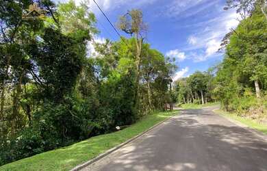 Imagem 4: Terreno à venda, 800 m² por R$ 650.000,00 - Vila Suíça - Gramado/RS