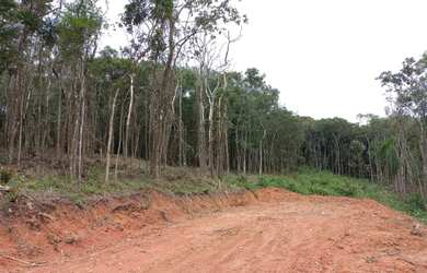 Imagem: O terreno possui 1000m² de Área e está localizado em Centro