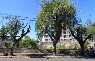 Imagem 2: Terreno 22,80 X 33 plano no Rio Branco Novo Hamburgo