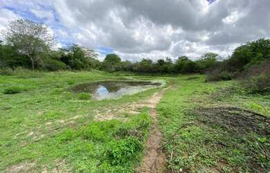 Imagem 14: Área à venda,140000m2 por R$750.000,00-4º Distrito- Zona Rural-Caruaru/PE