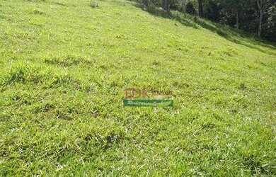 Imagem 7: Terreno à venda, 1200 m² por R$ 135.000,00 - Cunha - Cunha/SP