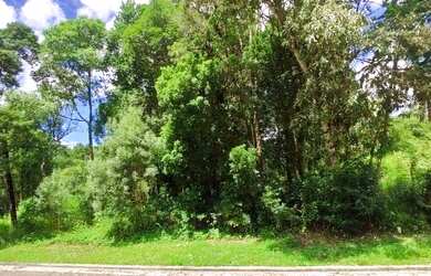 Imagem 6: Terreno à venda, 450 m² por R$ 480.000,00 - Vivendas Do Arvoredo - Gramado/RS