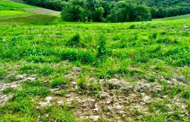 Imagem 3: Lote/Terreno para venda possui 500 metros quadrados em Jardim Lavapes...