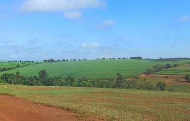 Imagem 2: SITIO PLANTIL DE GRÃOS E CANA 16 ALQUEIRES PAULISTA. Região Município...