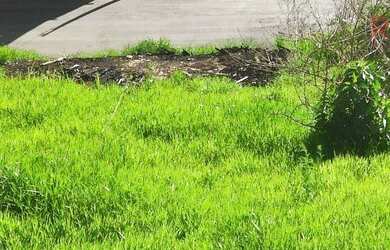 Imagem 3: Terreno à venda, 300 m² por R$ 155.000,00 - Bom Jardim - Juiz de Fora/MG