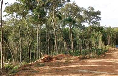 Imagem: O terreno possui 1.000m² de Área e está localizado em Centro