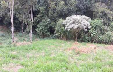 Imagem 3: Terreno à venda, 1998 m² por R$ 420.000,00 - Jardim Primavera - Louveira/SP