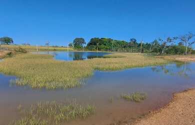 Imagem 4: Fazenda p/ Arrendamento de Soja. 1070 há. No Goiás