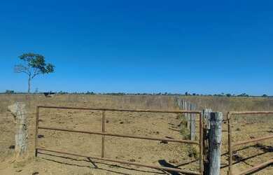 Imagem 9: Fazenda p/ Arrendamento de Soja. 1070 há. No Goiás