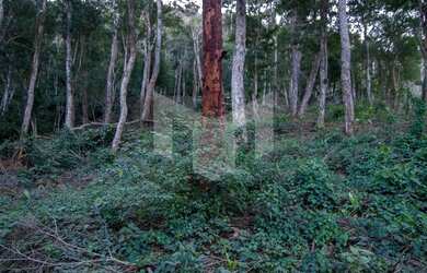 Imagem: O terreno possui 7145m² de Área e está localizado em Pedro
