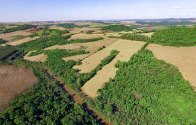 Imagem 5: Vendo - Distrito Paiquere - Sítio Taquara - Paiquere - Londrina - Paraná