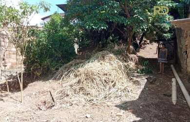 Imagem 11: Terreno à venda, 461 m² por R$ 620.000,00 - Sagrada Família - Belo...