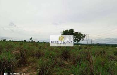 Imagem 7: Fazenda à venda, 100 alqueires por R$ 8.000.000 - Setor Central - TO