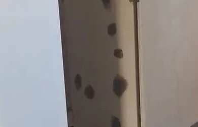 Imagem: A casa possui 2 Dormitórios, 2 Banheiros, 250m² de Área e