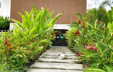 Imagem: A casa em condomínio possui 4 Dormitórios, 5 Banheiros, 5