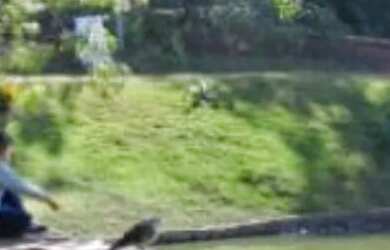 Imagem 12: APARTAMENTO - PARQUE DAS NAÇÕES - SP