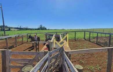 Imagem 3: Sítio - 54.450 m² por R$ 1.900.000 - Rio Do Salto - Cascavel/PR