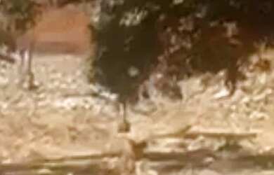 Imagem: O terreno possui 1.250m² de Área e está localizado em Socopo