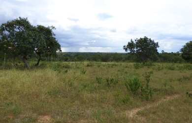 Imagem 2: Fazenda de 226 Hectares em Formoso MG Escriturada