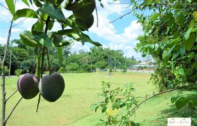 Imagem 10: Lote de Terreno para venda no Condomínio Fechado Jardim Flamboyant -...