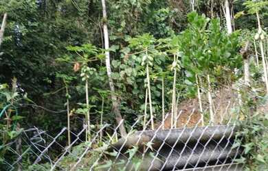 Imagem 4: 10 mil mts nas montanhas com lago 167 mil reais